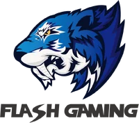 Flash Gaming